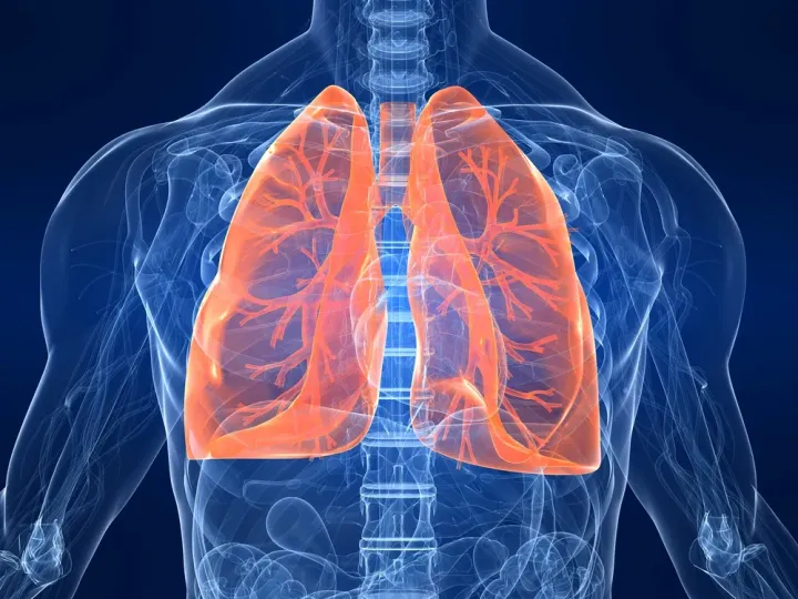 Elsa Gindler in context #3 Breathing